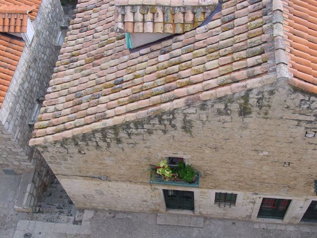 dsc03171.jpg