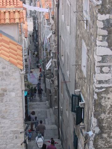 dsc03175.jpg