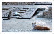 dsc03189.html