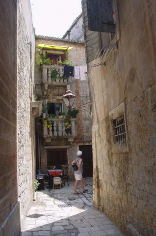 dsc03106.jpg