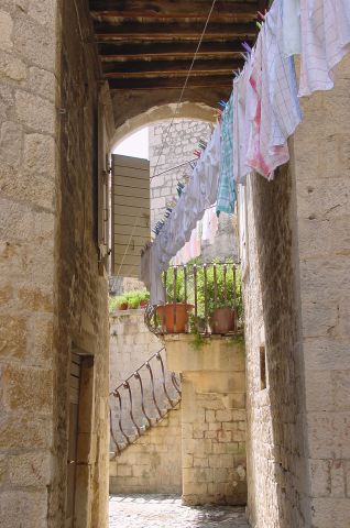 dsc03107.jpg