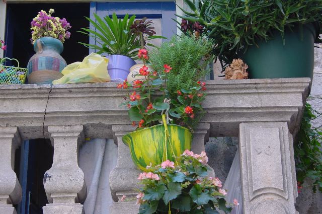 dsc03108.jpg