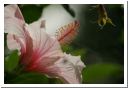 IMG_1859.JPG