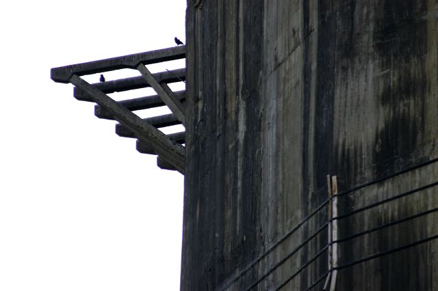 img_4789.jpg