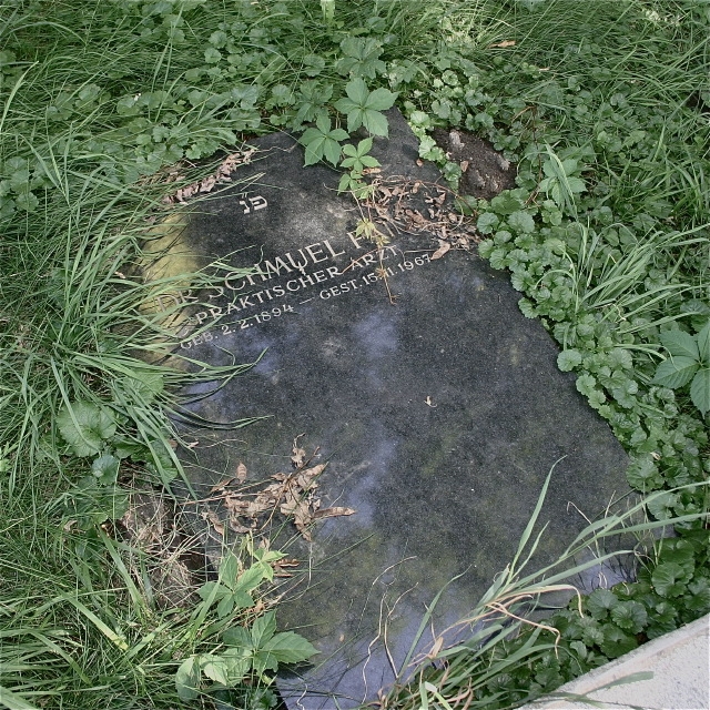 juedischerfriedhof_10