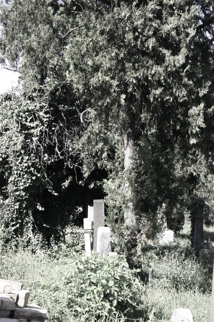 juedischerfriedhof_7