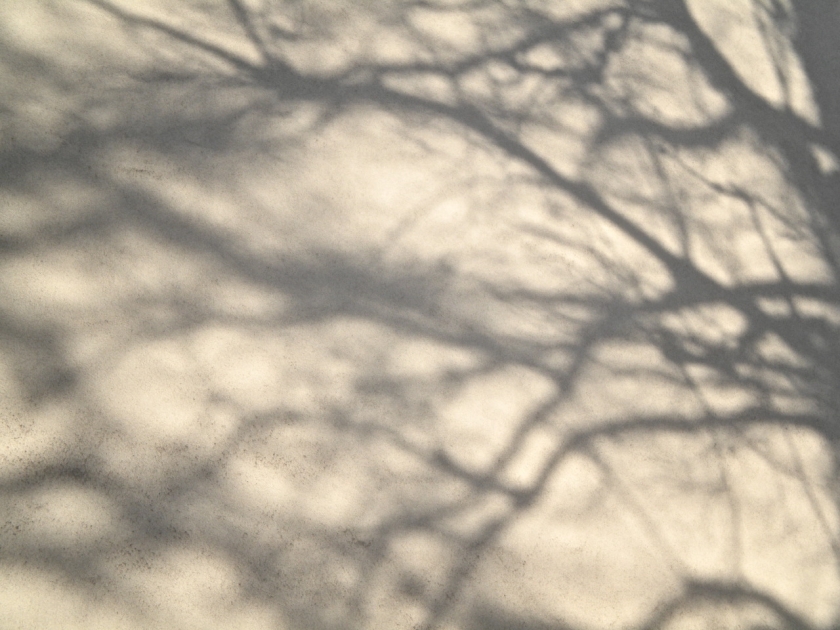 shadows_4