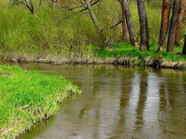 dsc05644.jpg