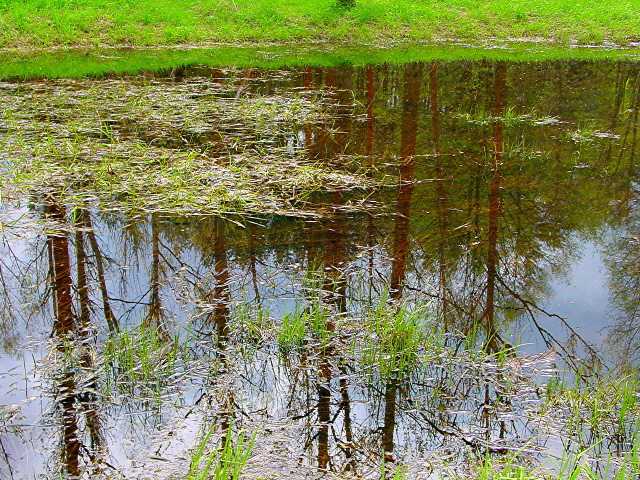 dsc05648.jpg