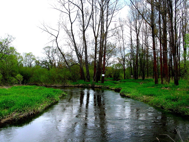 dsc05652.jpg
