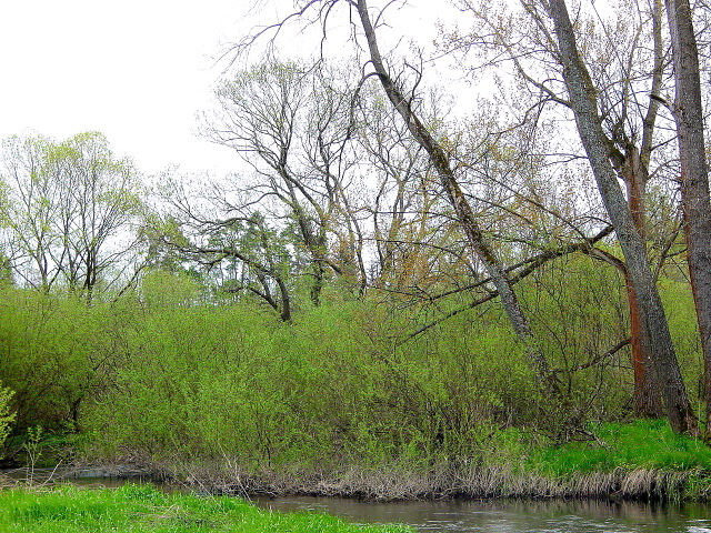 dsc05653.jpg