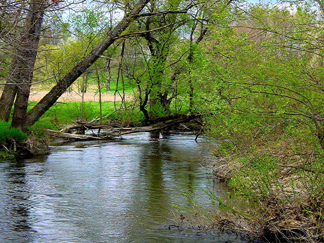 dsc05656.jpg