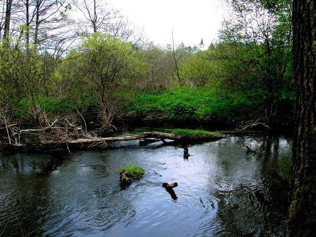 dsc05657.jpg