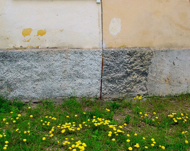 dsc05664.jpg