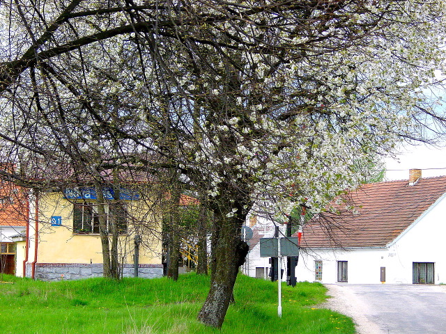 dsc05668.jpg