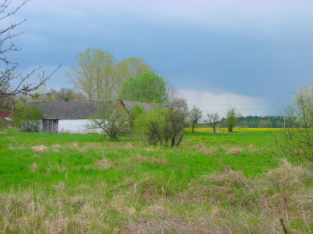 dsc05671.jpg