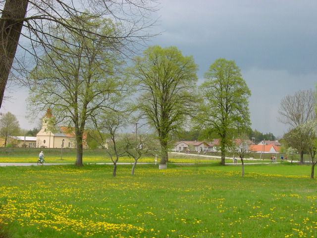 dsc05673.jpg