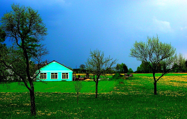 dsc05674.jpg
