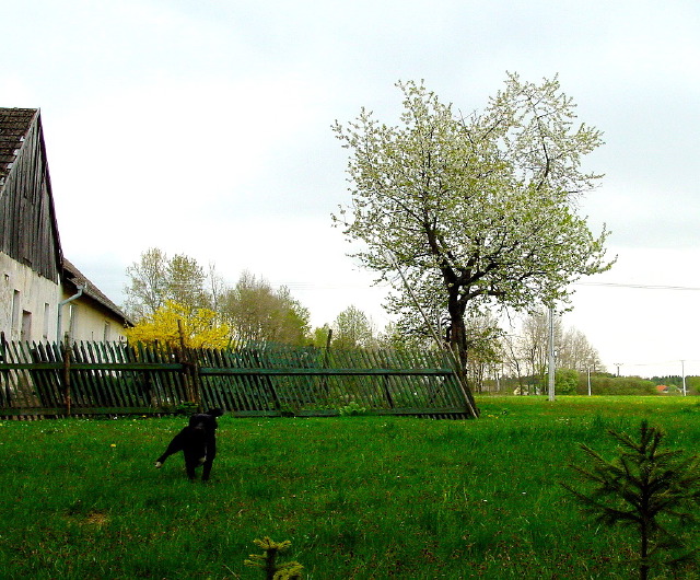 dsc05680.jpg