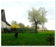 DSC05680.JPG