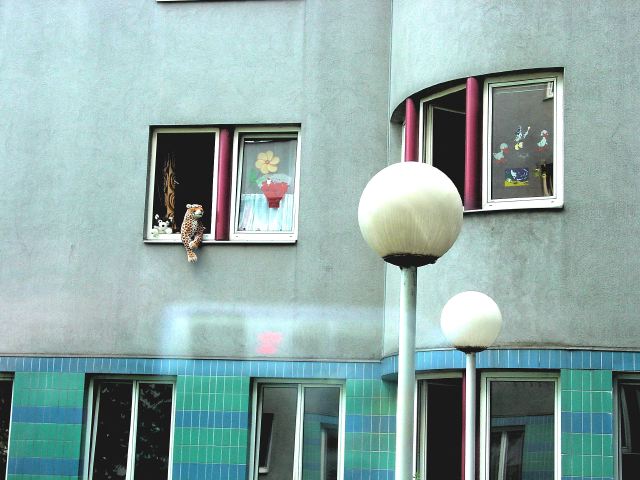 dsc04568.jpg