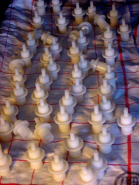 dsc04570.jpg
