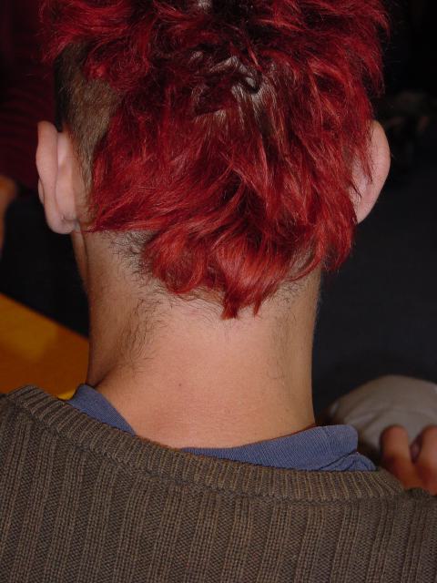 dsc04925.jpg