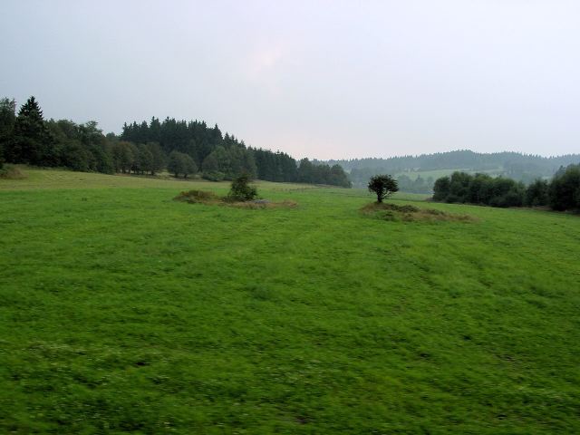 dsc01213.jpg