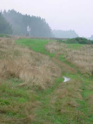 dsc01228.jpg
