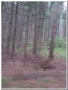 dsc01238.html