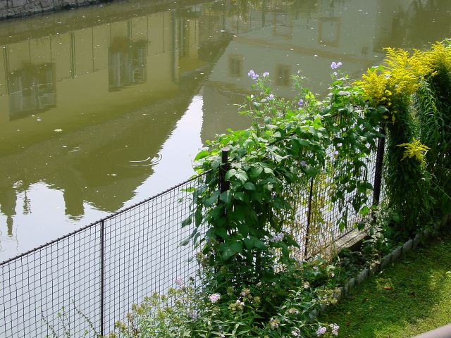 dsc01179.jpg