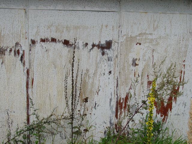 dsc01305.jpg