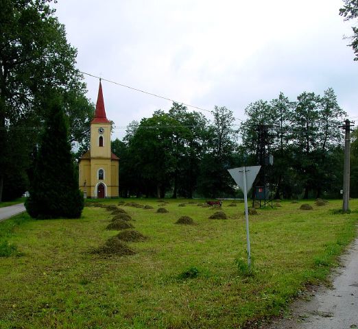 dsc01309.jpg