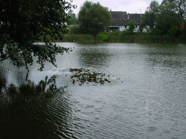 dsc01310.jpg