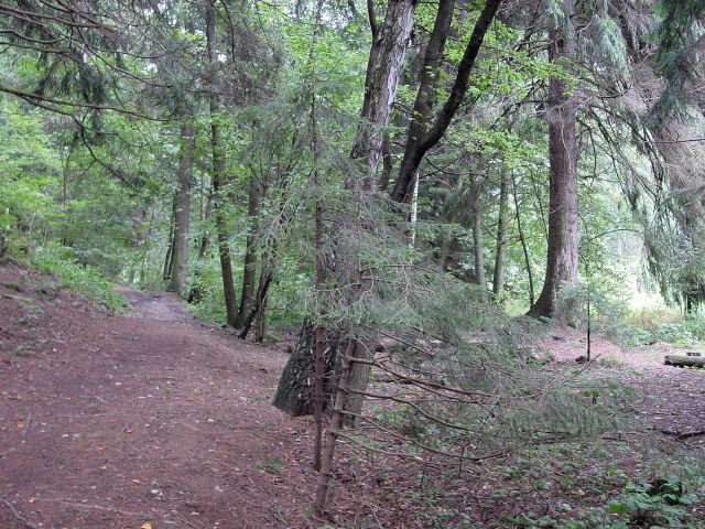 dsc01314.jpg