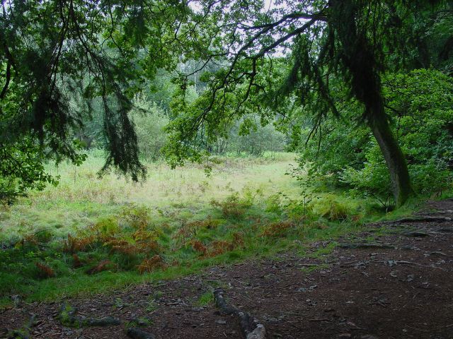 dsc01317.jpg