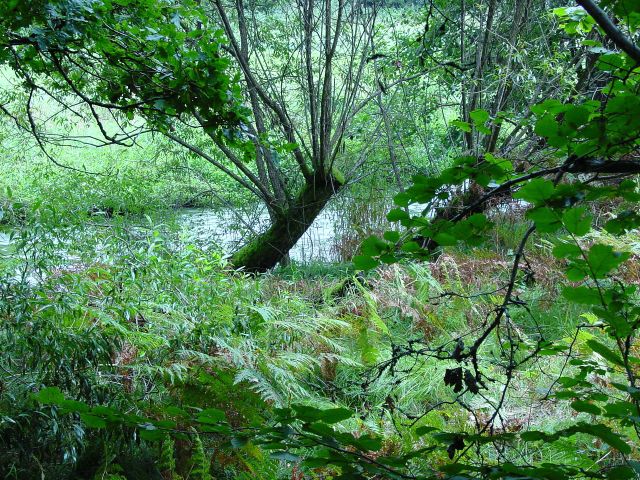 dsc01319.jpg