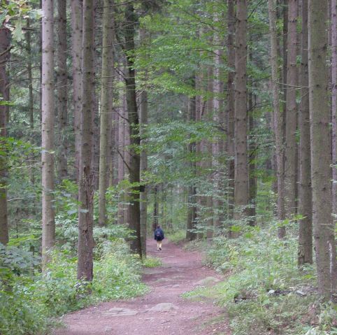 dsc01341.jpg
