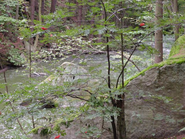 dsc01342.jpg