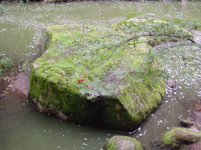 dsc01343.jpg