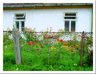 dsc01296.html