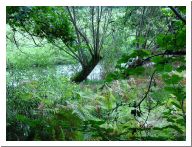 dsc01319.html
