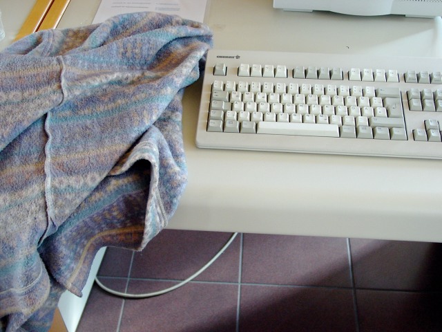 dsc05739.jpg