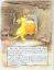 winnie10.html