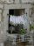 fenster