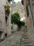 gasse3