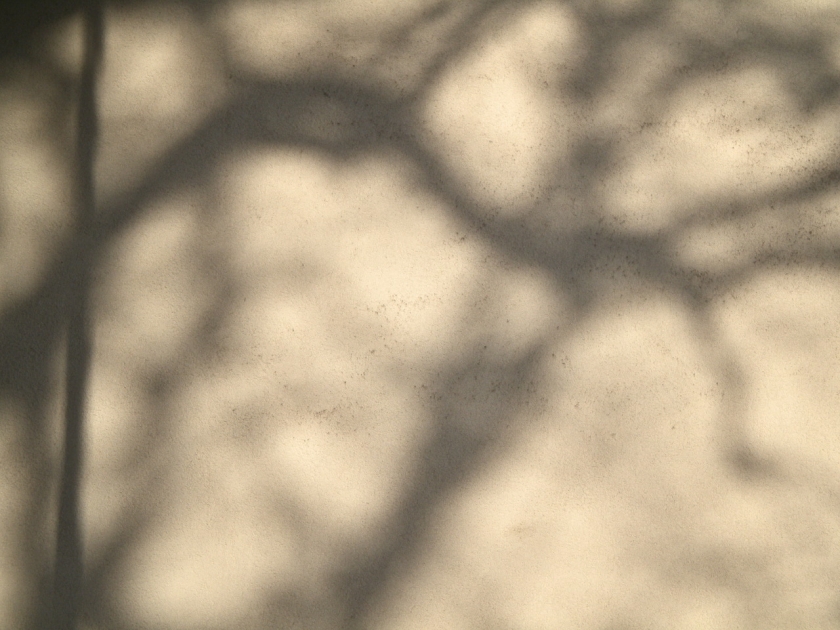 shadows_3